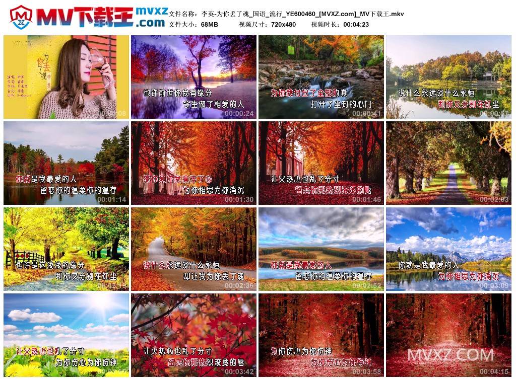 李英-为你丢了魂_国语_流行_YE600460